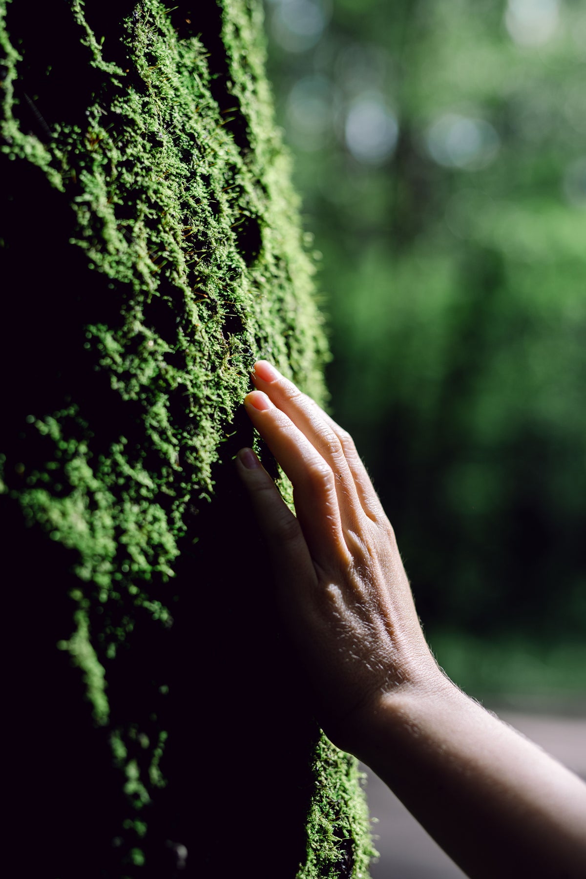 Nature-inspired design behind Understory bras for women after breast surgery